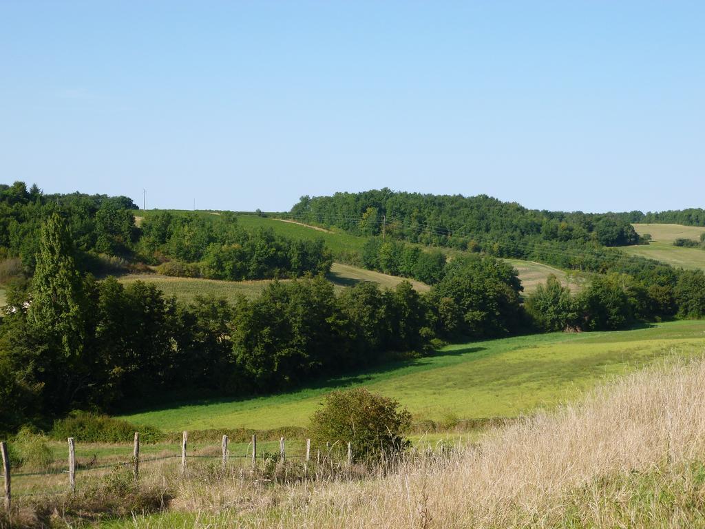 Ancien Haras De La Tour Bed & Breakfast Lamothe-Landerron Exterior photo